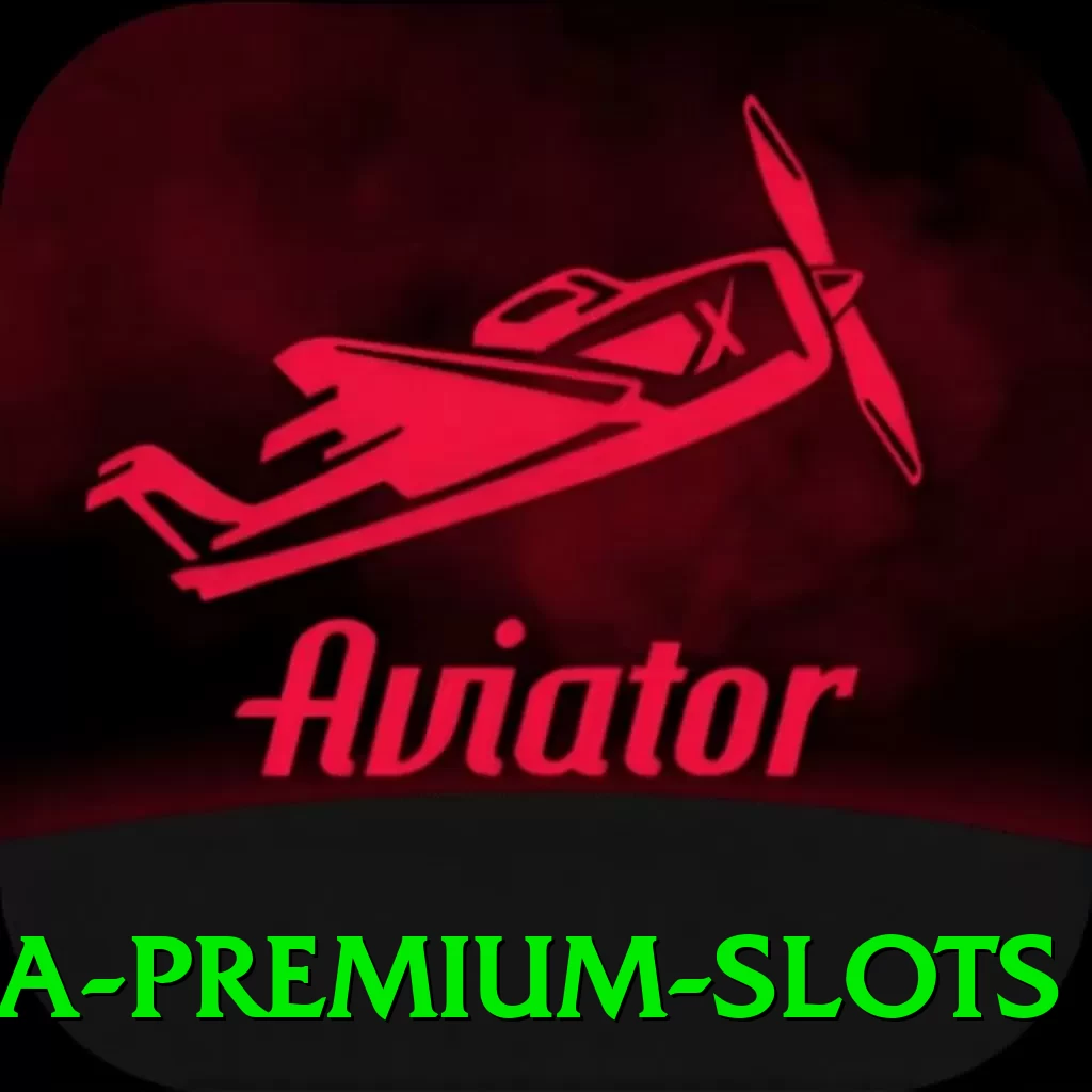 65a Premium Slots - 💎 apk